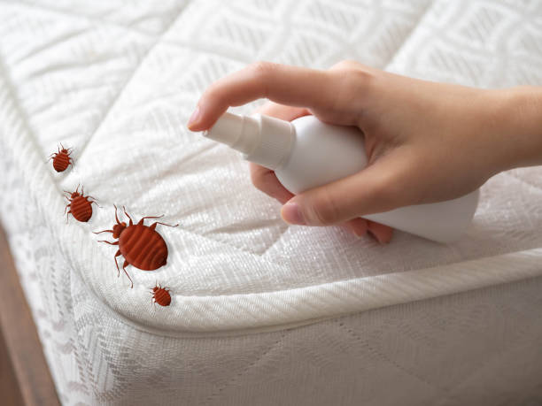 Best Cockroach Control Services  in Hanford, CA